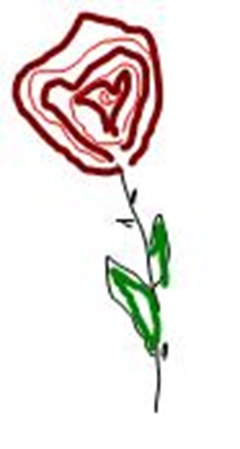 Rose from Jeff