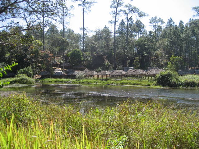 Cambodia National Forest