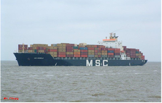 jenis jenis kapal kontainer khusus mengankut kontainer secara keseluruhan