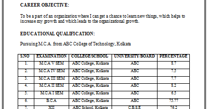 Sample Freshers Resume For Mca