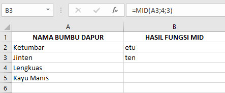 Langkah-Langkah Menggunakan Rumus Fungsi MID pada Microsoft Excel