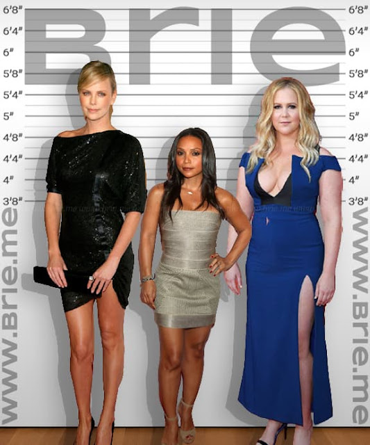 Danielle Nicolet standing with Charlize Theron and Amy Schumer