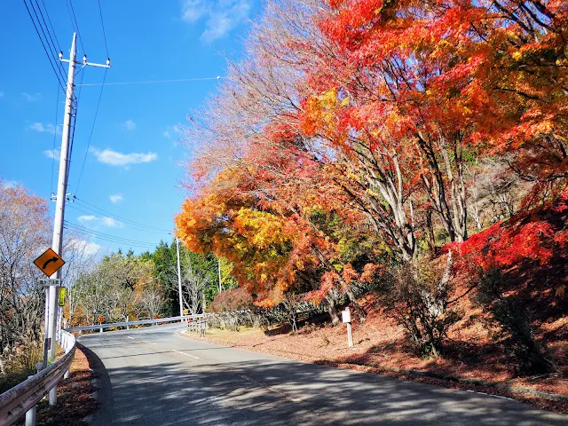 秩父　三峯神社　紅葉