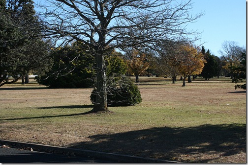 Macdonald Park