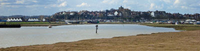 Rye, from the eastern marshes