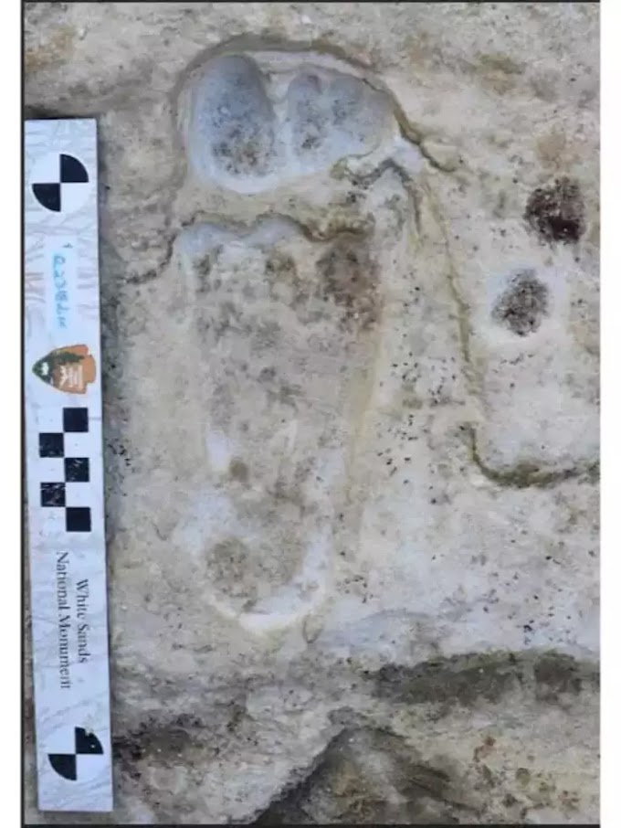 A descoberta de pegadas fossilizadas reescreve migração humana  para a América do Norte