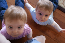 41 Weeks Old