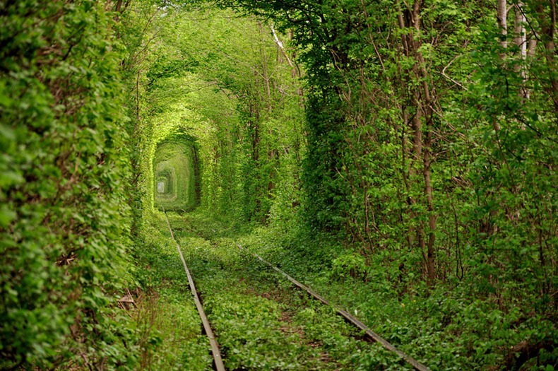 tunnel-of-love-2