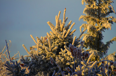 Winter, mùa đông, tél, dimër, zima, зима, 冬季, talv, talvi, hiver, χειμώνας, inverno, ウィンター, ziema, žiema, iarnă, зима, vinter, zimné, invierno, zimní, kış, tél, 