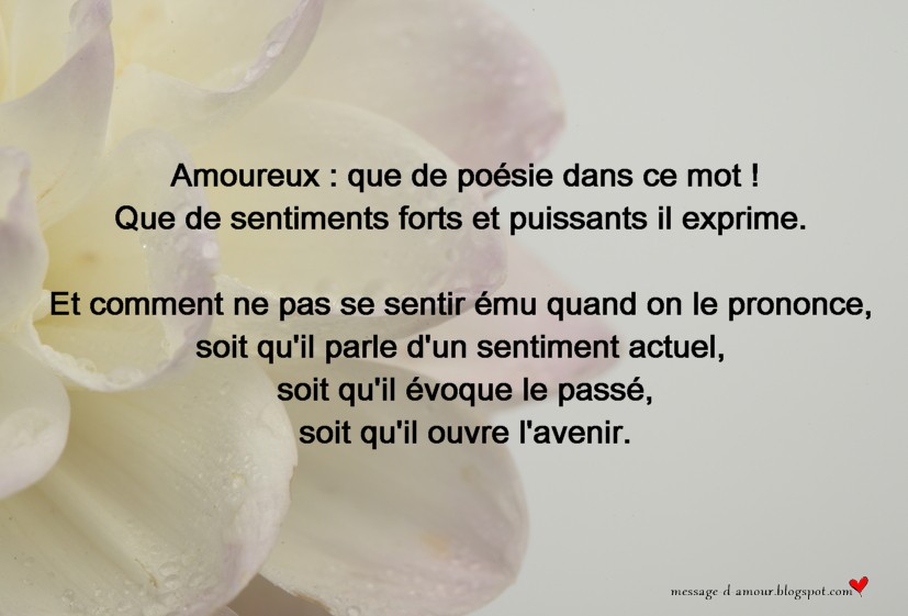 Photo et citation d'amour