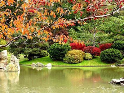 Terraced Garden