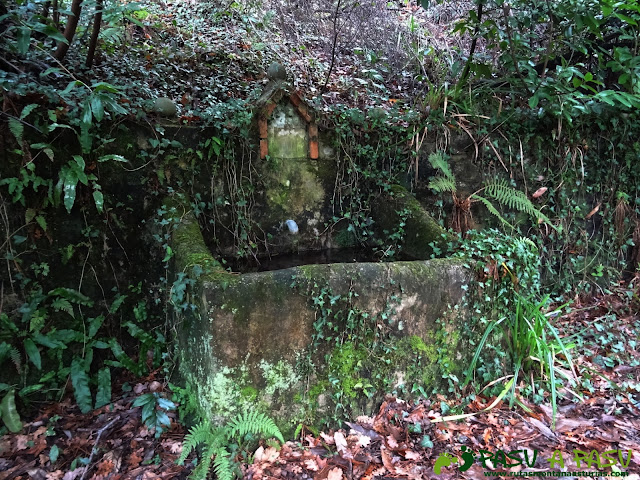 Segunda fuente subiendo a Ceacal