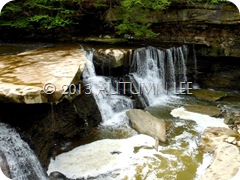 DSCN1888.1