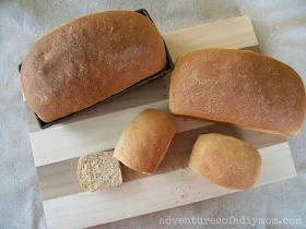 Best Homemade Wheat Bread Recipe