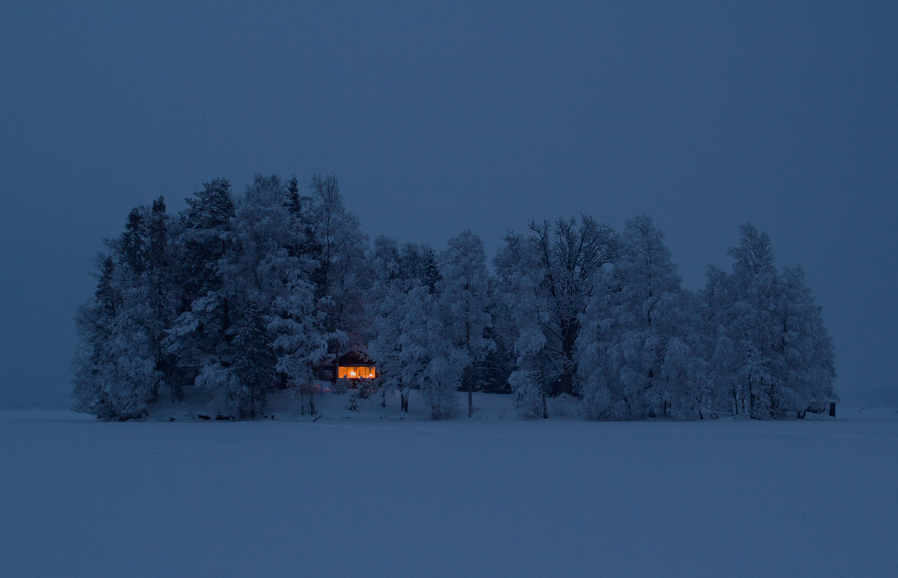 Winter Night Cabin Woods