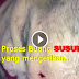 VIDEO : Ngeri!!.. Proses Membuang Susuk Yang Amat Menyeksakan