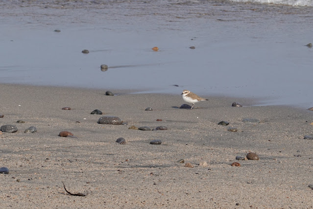 鳥取県西伯郡日吉津村今吉 砂浜