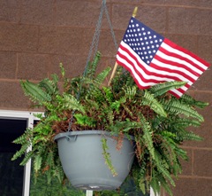 Holiday planter