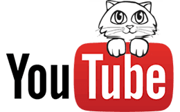Зірка YouTube :)