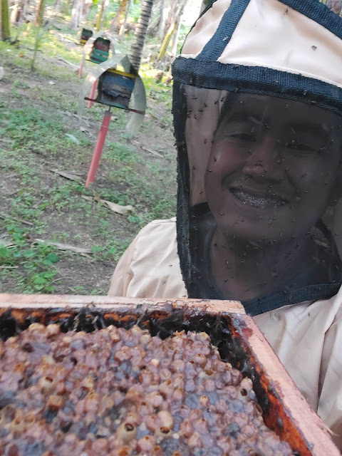 Charles Lance Estocapio’s Beekeeping Venture and Advocacy