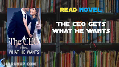 Read The CEO Gets What He Wants Novel Full Episode
