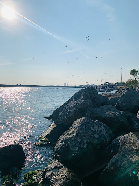 حديقة مدينة Yenikapı بإسطنبول