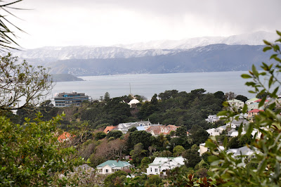 Snow on the Rimutaka Ranges