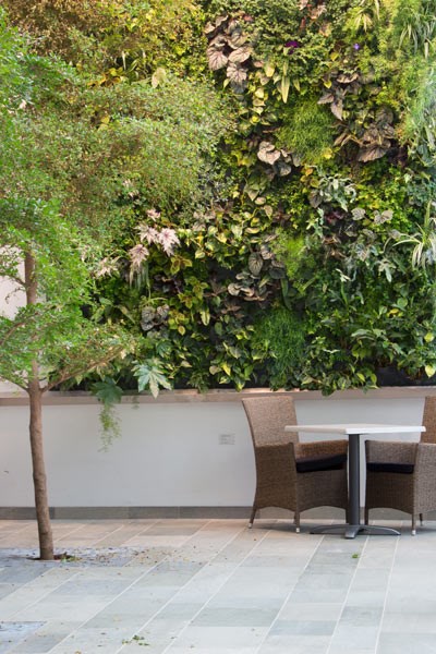 beautiful vertical garden design idea