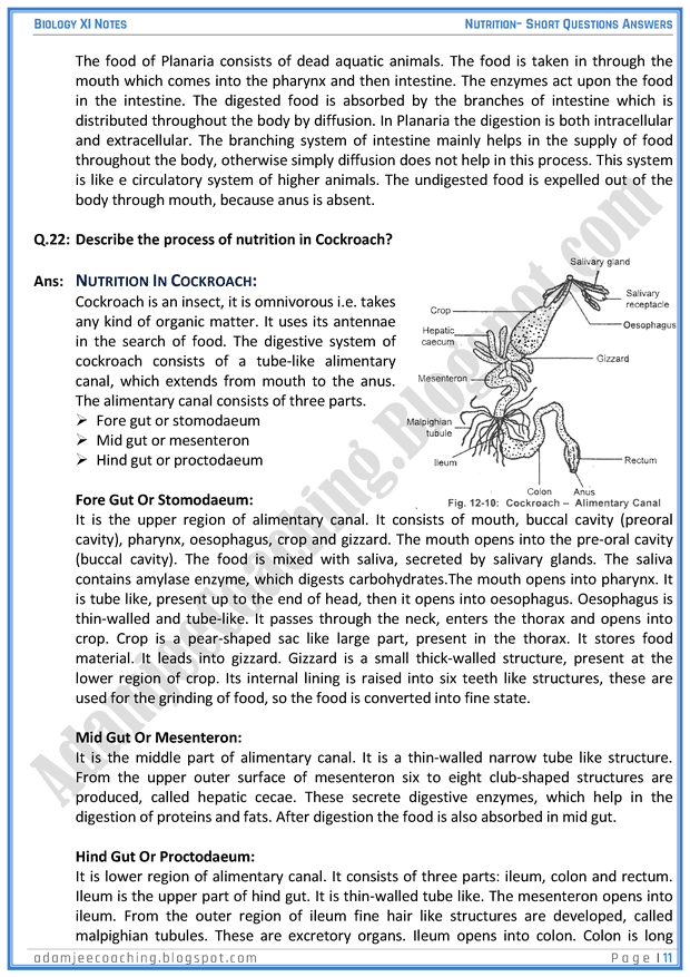 nutrition-short-question-answers-biology-11th