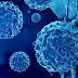 Νέα έρευνα γεννά ελπίδες για τη μάχη κατά του καρκίνου -Για «άλμα μπροστά» κάνουν λόγο οι επιστήμονες