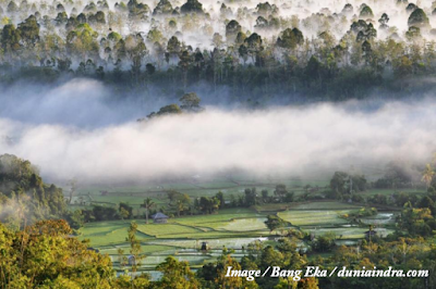 Males Megawe - Negeri di Atas Awan Bukit Bawang Bakung