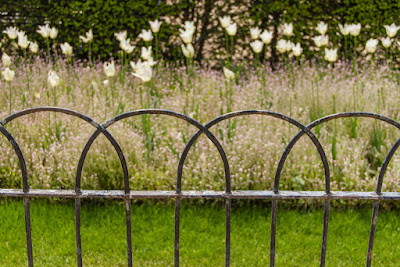 Jardin de Luxembourg (Paris, France), by Guillermo Aldaya / AldayaPhoto