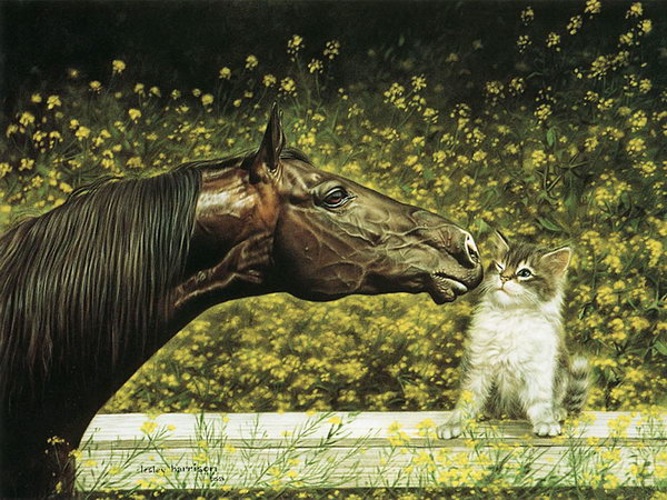 "Lesley Harrison" An American Animal Painter