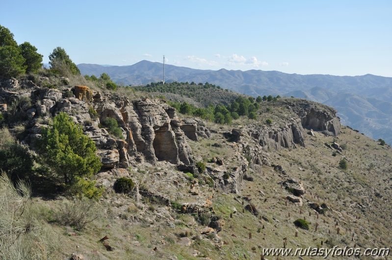 Hacho de Alora