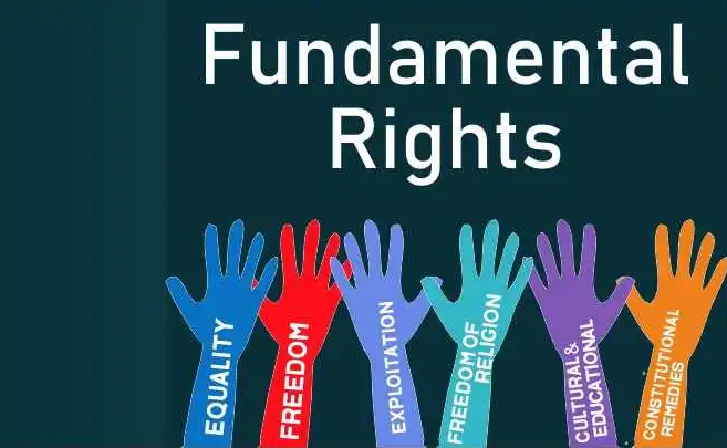 Importance of Fundamental Rights 