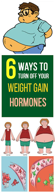 6 Ways To Turn Off Your Weight Gain Hormones