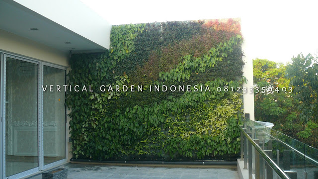 VERTICAL GARDEN INDONESIA SPESIALIS JASA PEMBUATAN VERTICAL GARDEN DI JEPARA JAWA TENGAH DAN DI SELURUH WILAYAH JAWA TENGAH DENGAN TENAGA YANG PROFESIONAL DAN DAPAT DI PERCAYA YANG SELALU MENGUTAMAKAN SEBUAH MUTU DAN KUALITAS PEMASANGAN VERTICAL GARDEN/TAMAN DINDING, JASA TUKANG TAMAN VERTICAL JEPARA JAWA TENGAH, JASA VERTICAL GARDEN JEPARA JAWA TENGAH