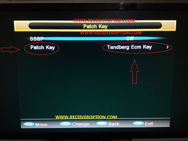 ALL GREEN GOTO HD RECEIVERS TANDBERG KEY NEW SOFTWARE