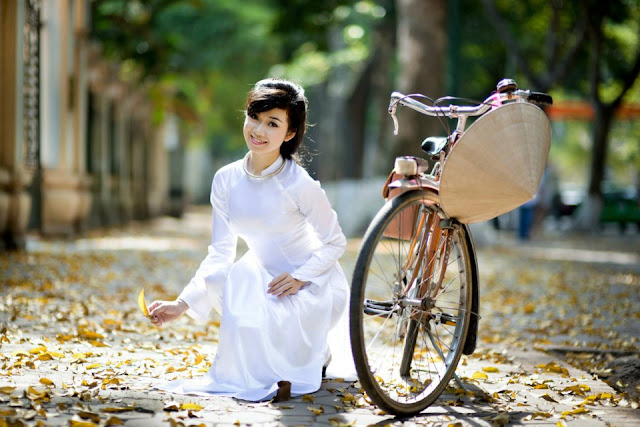 Vietnamese traditional dress - Ao Dai 