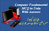 Computer Fundamental MCQ in Urdu|بنیادی کمپیوٹرمعروضی سوالات