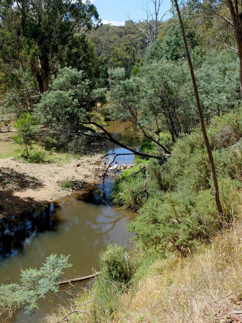 Twin Bridges Tipperary Springs Walk Daylesford