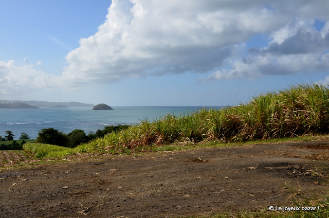 Martinique - près de Sainte Marie