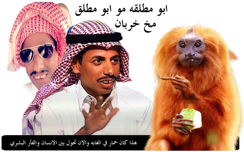 بو مطلق المتخلف السعودي Bo divorced backward Saudi والحيوانات متبرين منه قبل الانسان