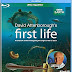 First Life - Nguồn Gốc Của Sự Sống (2012) - 2/2