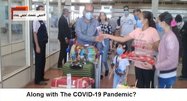 Exactly how Tour Operators Cope Along with The COVID-19 Pandemic?