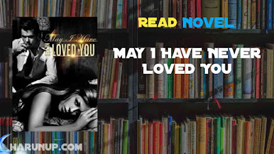 May I Have Never Loved You Novel