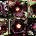 Alcea rosea Nigra Caucasus photos series