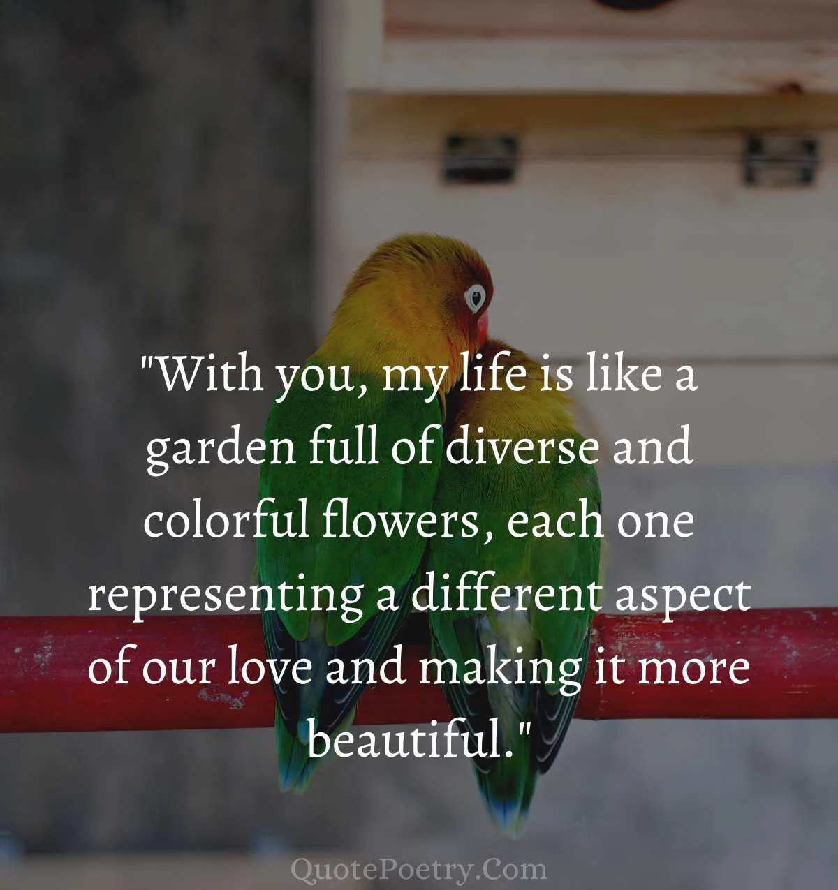 You Bring color To My  Life Quotes