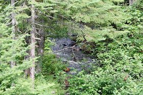 a peaceful North Country stream