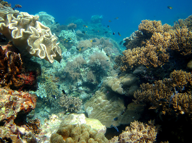 Pulau Kakara - Wisata Halmahera Utara (Wilayah Tobelo)